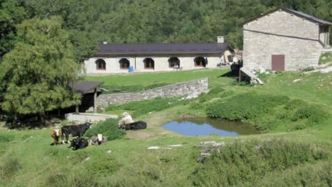 Mostra collettiva in Villa Turconi - Luigi Basile vi ha esposto la sua opera d'arte realizzata insieme ad altri 3 artisti
